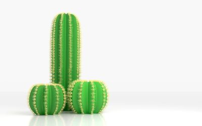 Is Penis Enlargement Surgery Worth It?